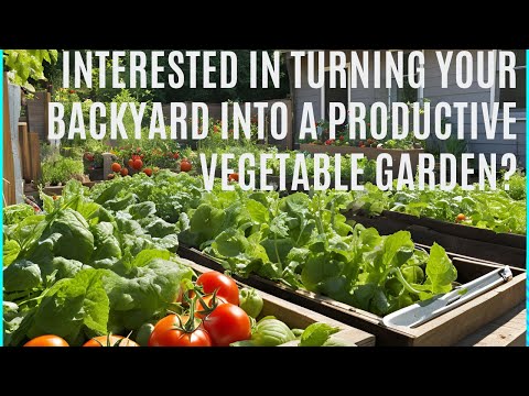 Backyard Vegetable Gardening 101!