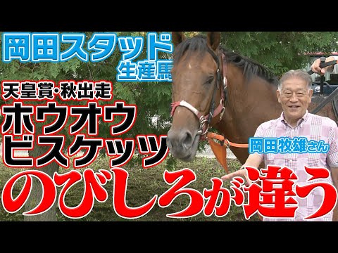 【天皇賞・秋】穴馬発見！？ GI馬たちに真っ向勝負！気になる夏の上がり馬の秘密とは…！｜ウイニングTube