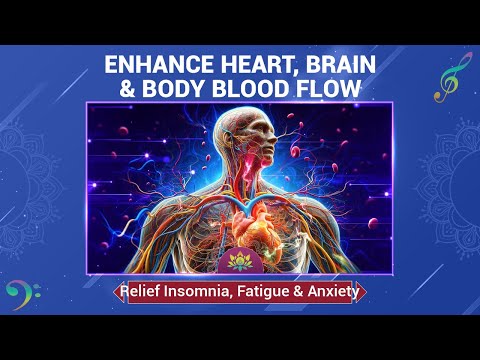 (337 Hz) Enhance Heart, Brain & Body Blood Circulation - Relief Insomnia, Fatigue, Stress & Anxiety