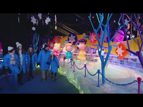 The Ice Exhibit at Gaylord National Resort opens today!