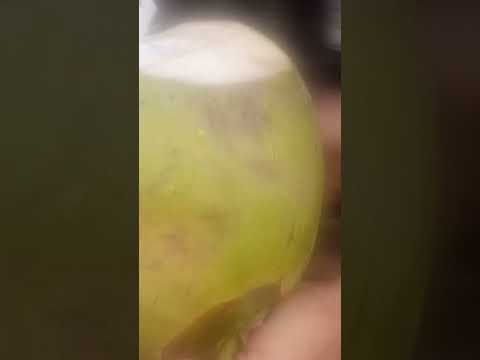 SARIWANG SABAW NG BUKO pH street food #satisfying #bukojuice #streetfood #youtubeshorts #Gatchie Jr