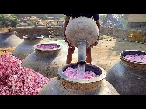 Primitive Way They Still Produce Fresh Rosewater in India