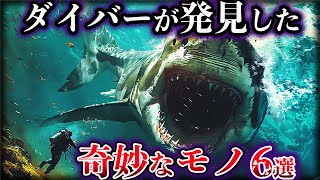 【ゆっくり解説】ダイバーが発見した奇妙なモノ６選