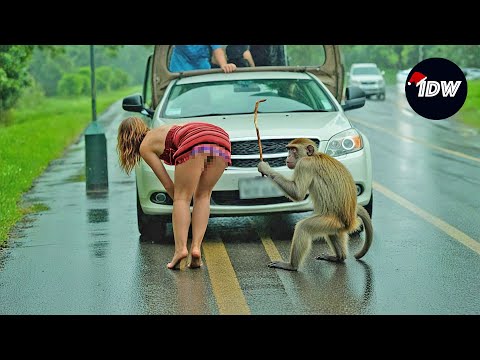 TOTAL IDIOTS AT WORK #357 | Try Not To Laugh | Best #fails of the week