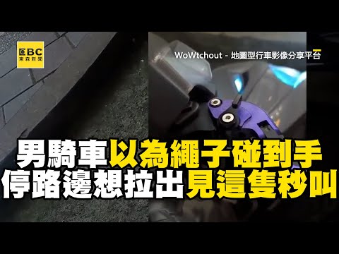 男騎車以為繩子碰到手 停路邊想拉出...驚見這隻秒叫出來