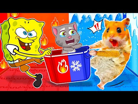 Hamster and Spongebob Hot and Cold Room Challenge | Life Of Pets HamHam