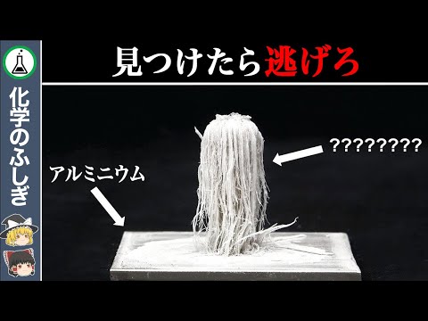 【ゆっくり解説】〇〇には絶対持ち込むな…『アマルガム』