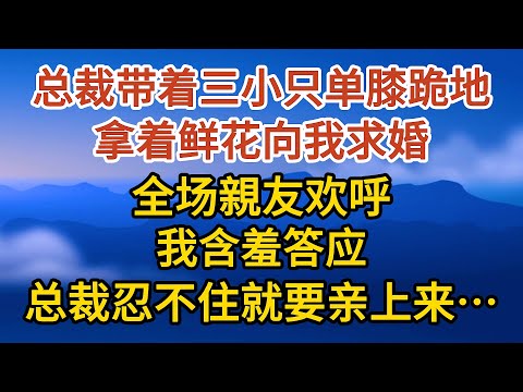 《生下三胎》 第05集：总裁带着三小只单膝跪地，拿着鲜花向我求婚，全场親友欢呼，我含羞答应，总裁忍不住就要亲上来……#戀愛#婚姻#情感 #愛情#甜寵#故事#小說#霸總