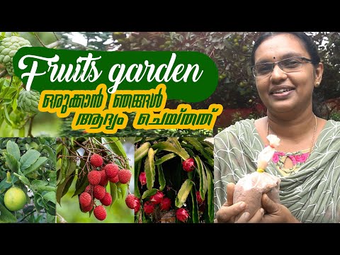 Fruits Garden ഒരുക്കാൻ ഞങ്ങൾ ആദ്യം ചെയ്തത് Soil Test