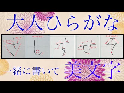 【美文字】ポイントを押さえ、一緒に書いて簡単美文字に♪大人ひらがな『さ行』🔰