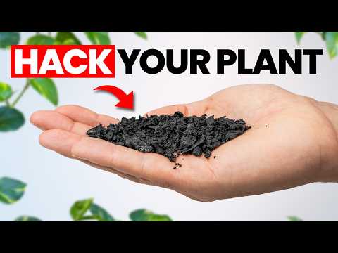 Top 20 Hacks To Make Your Plants THRIVE