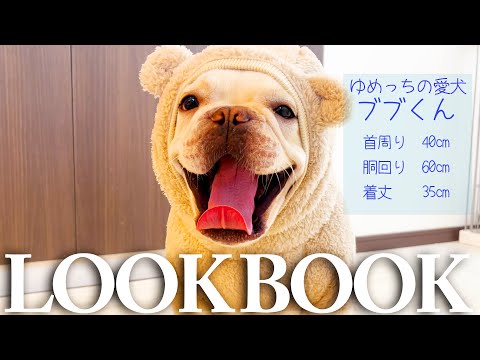 【LOOKBOOK】ゆめっちの愛犬ブブくん冬服コーデ【骨格ぎっしり】