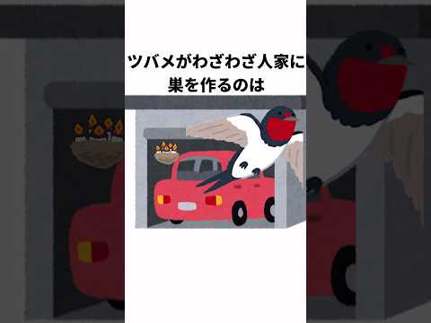 ちょっと意外な雑学#shorts  #雑学