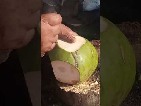 satisfying coconut peeling Asmr #satisfying #coconut #streetfood #youtubeshorts @GatchieJr33