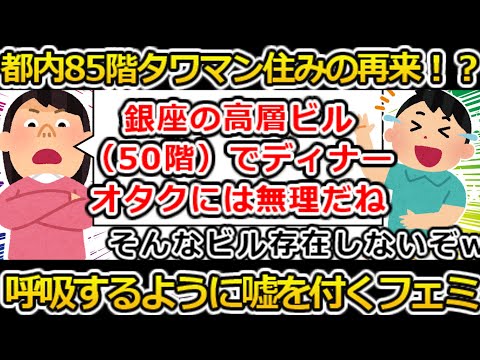 【ゆっくり解説】都内85階タワマン住みのツイフェミ現る