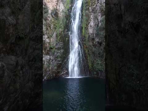 Agua  Clara  Constanza #agua #riodejaneiro #natural #automobile #bosque #paisajes #lluvia#amor