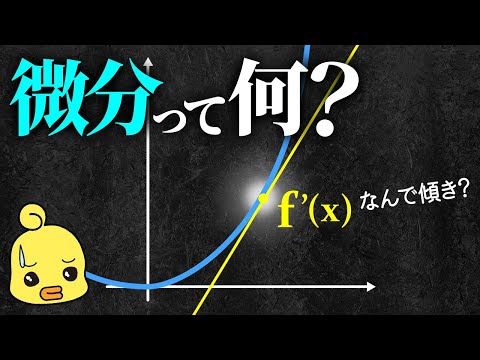 微分は何を表しているのか?数学における重要な概念の解説