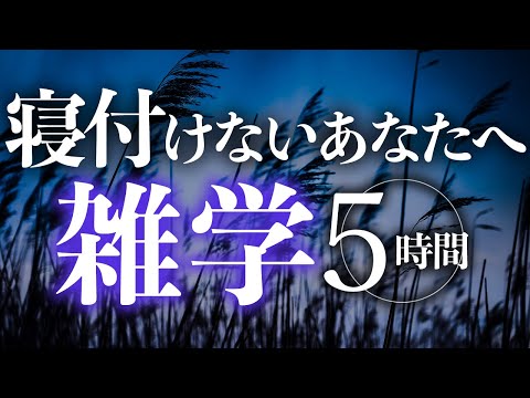 【睡眠導入】寝付けないあなたへ雑学5時間【合成音声】