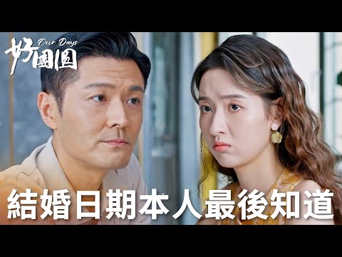 「好團圓」太離譜！向南的結婚日期自己竟然是最後一個知道的！ | WeTV