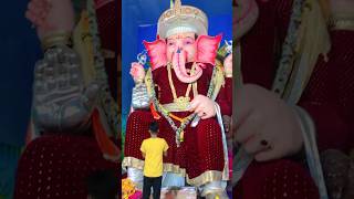 Biggest ganpati In Mumbai #mumbai #mumbaiindians #lalbaughcharaja #mumbaifestivals #views #ganpati