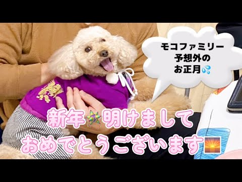 【元旦に行ったのはまさかの…💦🐶🐶予想外のお正月🎍】皆様✨明けましておめでとうございます🌅