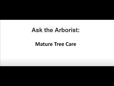 Ask the Arborist: Mature Tree Care