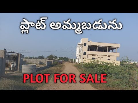 ప్లాట్ అమ్మబడును // Plat for sale// Nirup Nagar// Waddapally // Hanamkonda//Gopalpur// WARANGAL