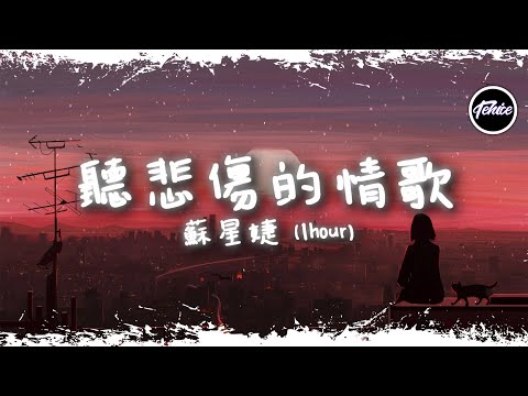 蘇星婕 - 聽悲傷的情歌【一小時版本】「聽悲傷的情歌 看離別的戲，我突然就好想你」【動態歌詞】♪