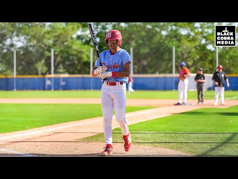 GEORGIA VS. FLORIDA HIGH SCHOOL BASEBALL!!! #10 PARKVIEW PANTHERS(19-4) VS. DUNEDIN FALCONS(12-5)