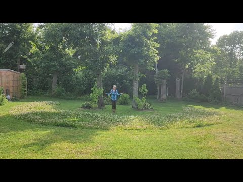 pollinator patches a beautiful solution for your regenerate homestead