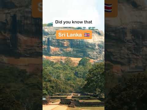 SRI LANKA has the OLDEST TREE in the World! #shorts