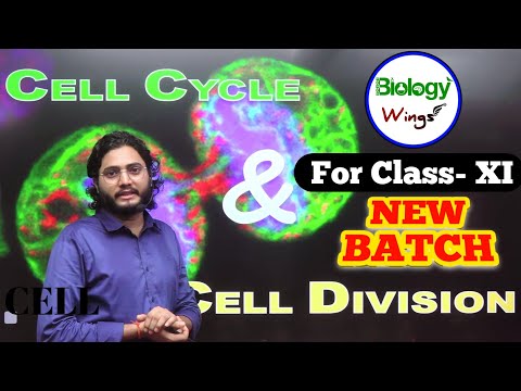 CLASS -11 NEW BATCH / CELL CYCLE AND CELL DIVISION BIOLOGY WINGS #biologywings