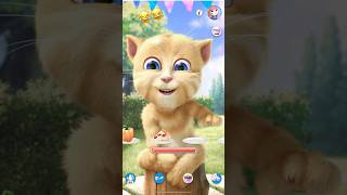 #catfun #short #subscribenow#talkingtom #funnyshorts #shorts