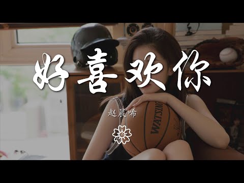 趙晨唏 - 好喜歡你『好喜歡你 想問你知不知道』【動態歌詞Lyrics】