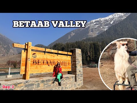 Betaab valley in Pahalgam ⛰️ | Chandanwari from where Amarnath Yatra starts 🙏 #vlog #kashmirvalley