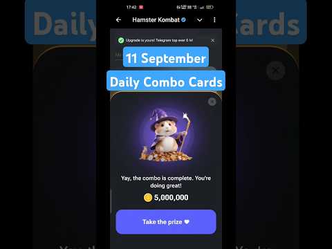 Today 11 Sept Daily Combo Card | Hamster Kombat Daily Cipher Code | hamster Combo Today 11 September