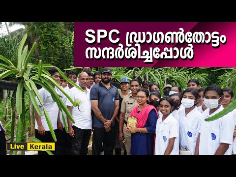 സ്റ്റുഡന്റ് പോലീസ് കേഡറ്റ് ഡ്രാഗൺ ഫ്രൂട്ട് തോട്ടം സന്ദർശിച്ചപ്പോൾ