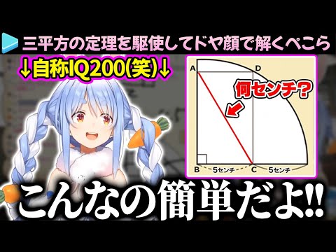 【義務教育の敗北】パッと見は難解な円の問題を三平方の定理で解く自称IQ200のぺこら【兎田ぺこら/ホロライブ切り抜き】