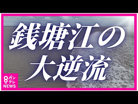 【圧巻】ドローン激撮 銭塘江の大逆流「海嘯（かいしょう）」満潮の際に海から川へ潮の流れが逆流 中国・浙江省 〈カンテレNEWS〉