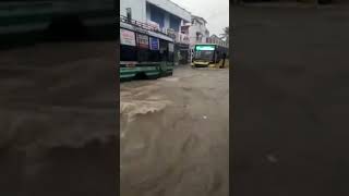 Devastating floods in Tirunelveli:  Heavy rainfall in southern tamilnadu #tnrains  #trendingshorts