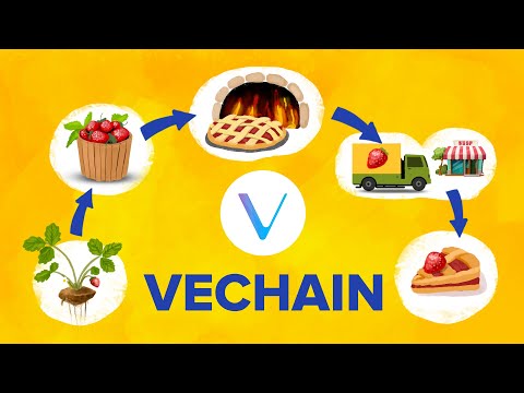 What is VeChain? VET Supply Chain Solution Explained!