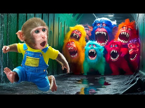 KiKi Monkey challenges with doing Hide and Escape from Monster to take Honey Jelly| KUDO ANIMAL KIKI