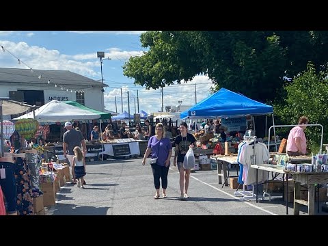 Family Fun Vlog: Market Day | Funny and Relatable  | funny kids videos | Ice Family