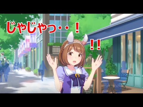 【ウマ娘】良い子過ぎて詐欺に引っかかりそうになるユキノビジン