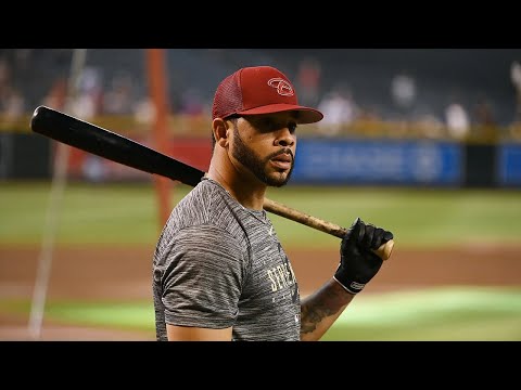 Tommy Pham 2023 MLB Highlights