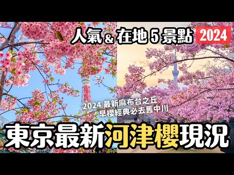 2024東京河津櫻最新現況🌸5個人氣&小眾景點散步｜麻布台之丘｜舊中川｜芝公園｜東京2月底3月初旅遊 4K VLOG