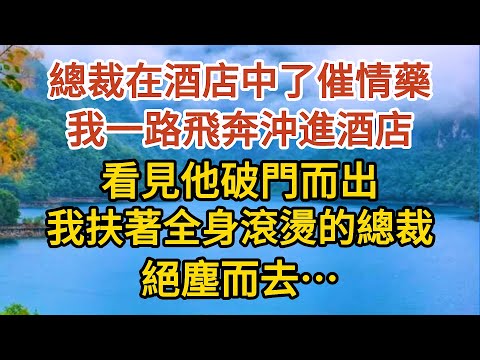 《BB被搶後》第04集：總裁在酒店中了催情藥，我一路飛奔沖進酒店，看見他破門而出，我扶著全身滾燙的總裁，絕塵而去……#婚姻#情感故事#甜寵#故事#小說#霸總