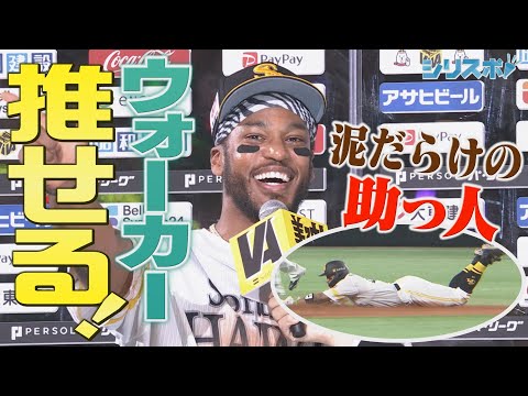 常に全力プレー！泥だらけの助っ人・ウォーカーが愛される理由【シリスポ！ホークスこぼれ話】