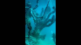 Shri Krishna Mahal Dwarka underwater unseen rare Image #krishna #radhe #dwarka #hare #iscon #shorts