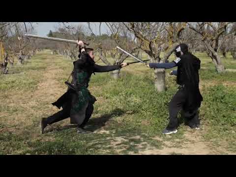 Swordfight 2 swords vs 2 swords Mpolypragmon vs Raven